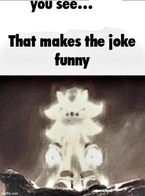 Shadow explains the joke | image tagged in shadow explains the joke | made w/ Imgflip meme maker