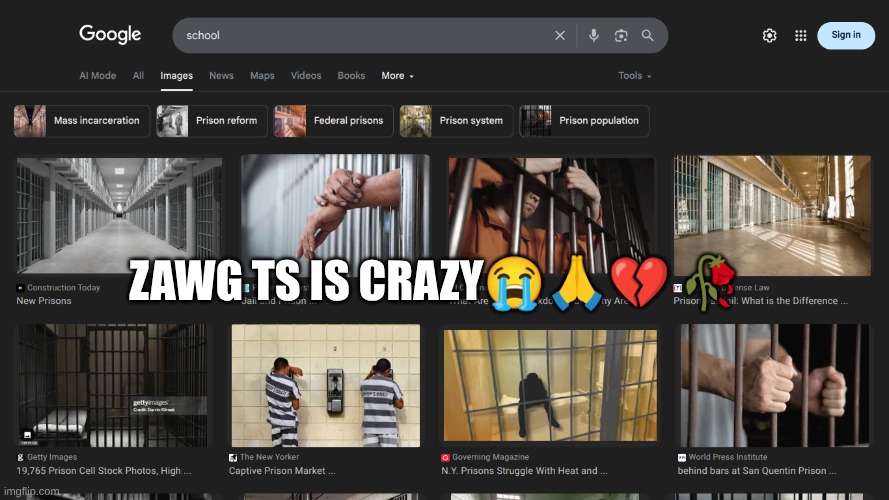 wild | ZAWG TS IS CRAZY😭🙏💔 🥀 | image tagged in prison | made w/ Imgflip meme maker