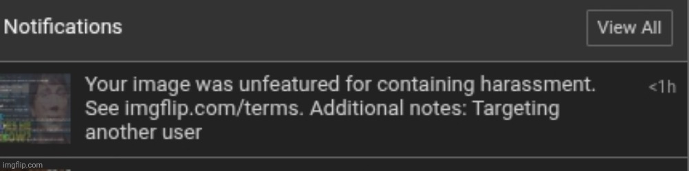 Apparently pictures of comment sections are no longer allowed chat :( | made w/ Imgflip meme maker