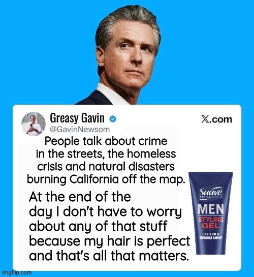 Gavin Newsom's number 1 priority | People talk about crime in the streets, the homeless crisis and natural disasters burning California off the map. At the end of the day I don't have to worry about any of that stuff because my hair is perfect and that's all that matters. | image tagged in gavin newsom twitter template,priorities | made w/ Imgflip meme maker