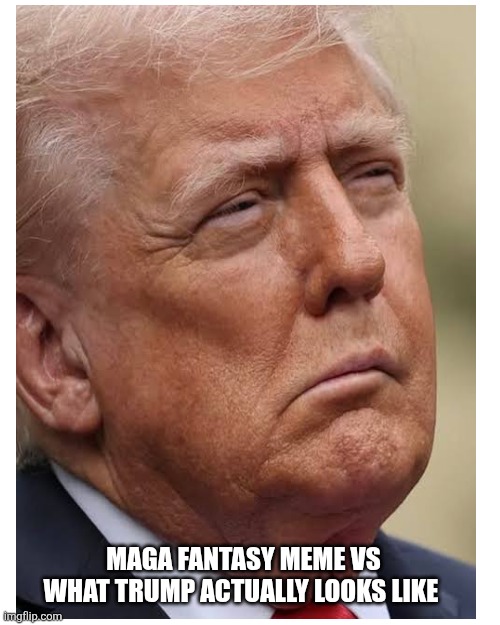 MAGA FANTASY MEME VS
WHAT TRUMP ACTUALLY LOOKS LIKE | image tagged in memes,blank transparent square | made w/ Imgflip meme maker