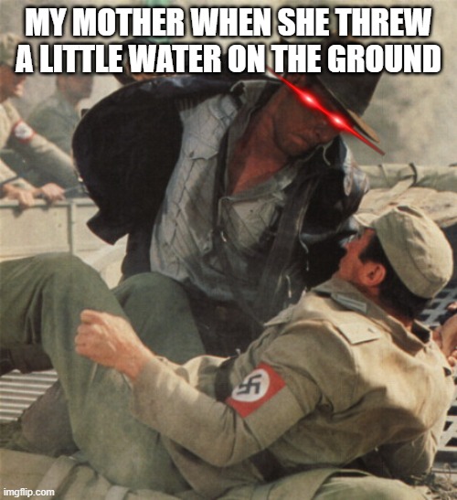 Indiana Jones Punching Nazis | MY MOTHER WHEN SHE THREW A LITTLE WATER ON THE GROUND | image tagged in indiana jones punching nazis | made w/ Imgflip meme maker