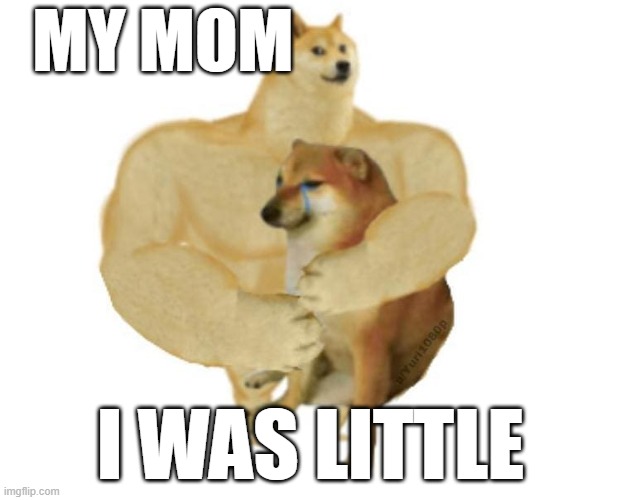 big brother doge hugging little brother cheems | MY MOM; I WAS LITTLE | image tagged in big brother doge hugging little brother cheems | made w/ Imgflip meme maker