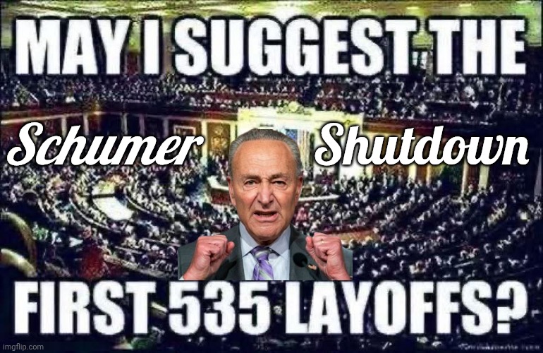 Solution for the Schumer Shutdown | Shutdown; Schumer | image tagged in chuck schumer,shut,down | made w/ Imgflip meme maker