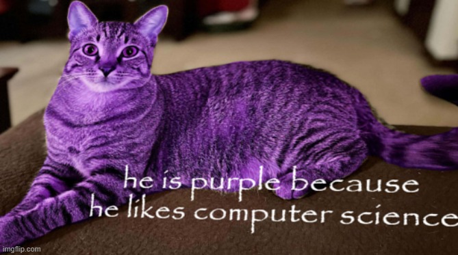 true | made w/ Imgflip meme maker