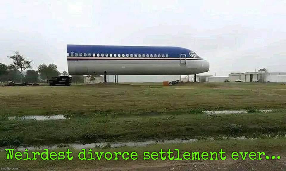 Weirdest divorce settlement ever… | image tagged in funny memes | made w/ Imgflip meme maker