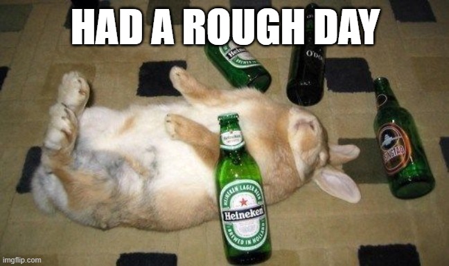 Rough Day Bunny | HAD A ROUGH DAY | image tagged in bunnies | made w/ Imgflip meme maker