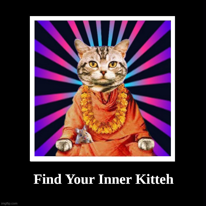 Find Your Inner Kitteh | Find Your Inner Kitteh | image tagged in cat,meditation,finally inner peace,peace,kitty,mouse | made w/ Imgflip meme maker