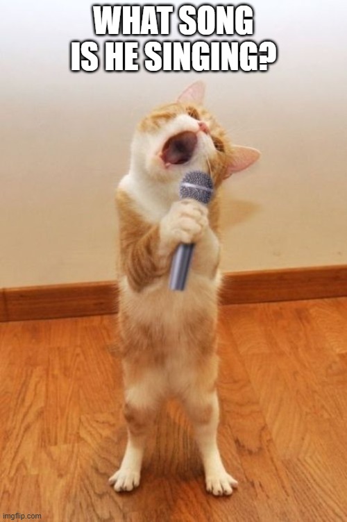 Cataoke | WHAT SONG IS HE SINGING? | image tagged in cats | made w/ Imgflip meme maker