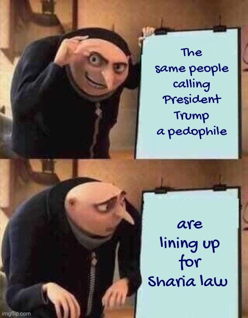 Can't wait for that 10 year old Wife | The same people calling President Trump a pedophile; are lining up for Sharia law | image tagged in gru's plan,deflection,stupid liberals,abuse children,ok when they do it | made w/ Imgflip meme maker