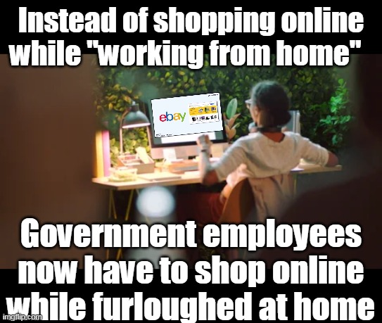 The government Shutdown Is BRUTAL | Instead of shopping online while "working from home"; Government employees now have to shop online while furloughed at home | image tagged in shop while working from home shutdown meme | made w/ Imgflip meme maker