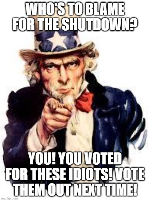 The Blame is on You | WHO'S TO BLAME FOR THE SHUTDOWN? YOU! YOU VOTED FOR THESE IDIOTS! VOTE THEM OUT NEXT TIME! | image tagged in we want you | made w/ Imgflip meme maker