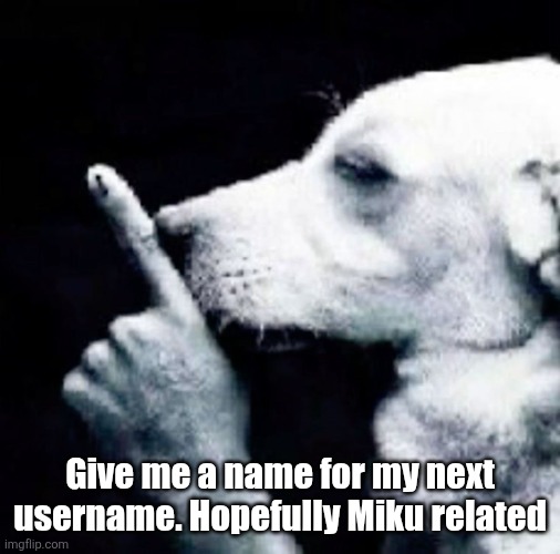 Shh dog | Give me a name for my next username. Hopefully Miku related | image tagged in shh dog | made w/ Imgflip meme maker