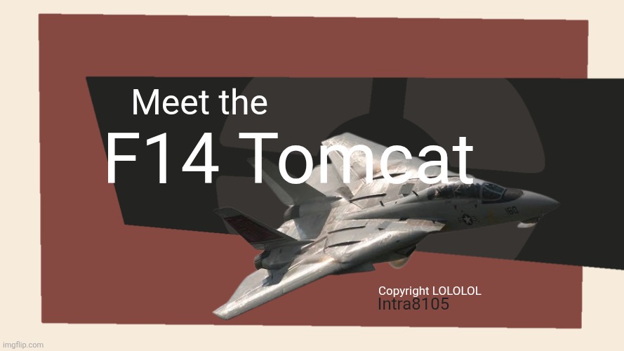 Meet The Tomcat | F14 Tomcat; Meet the; Copyright LOLOLOL; Intra8105 | image tagged in meet the blank | made w/ Imgflip meme maker
