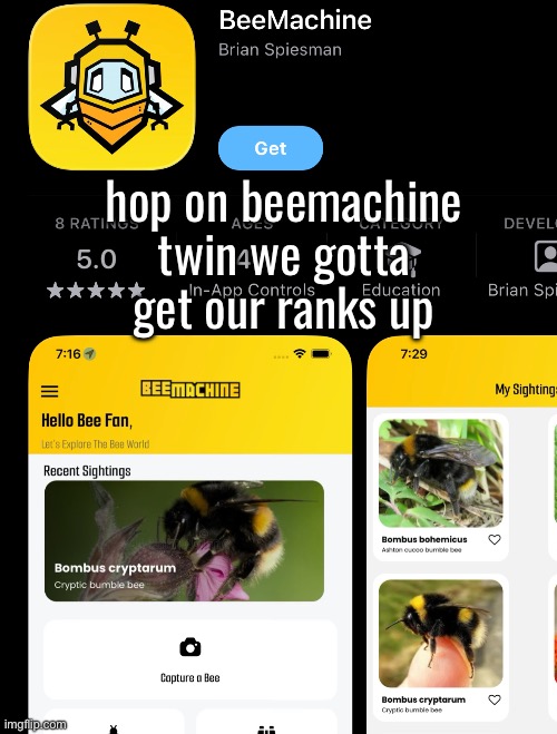 hop on beemachine twin we gotta get our ranks up | made w/ Imgflip meme maker