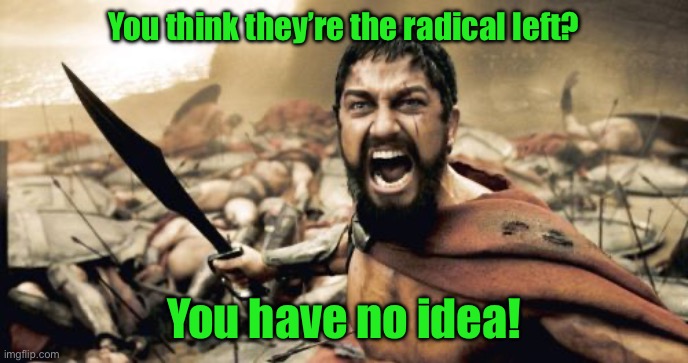 Sparta Leonidas | You think they’re the radical left? You have no idea! | image tagged in memes,sparta leonidas | made w/ Imgflip meme maker