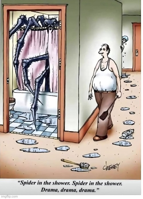 "Don't laugh, dear. It's a big onel." | image tagged in vince vance,spiders,bathroom humor,shower,flyswatter,cartoons | made w/ Imgflip meme maker