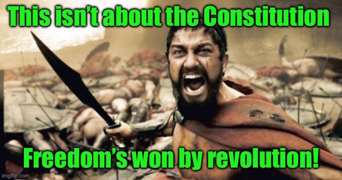 Sparta Leonidas | This isn’t about the Constitution; Freedom’s won by revolution! | image tagged in memes,sparta leonidas | made w/ Imgflip meme maker