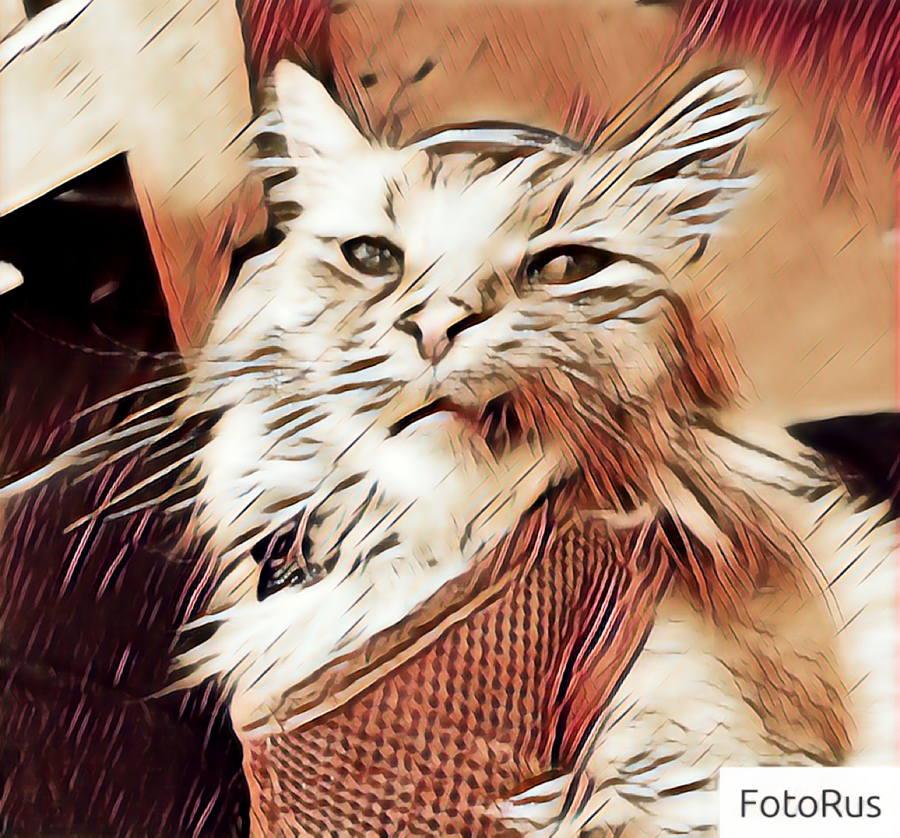 Sneering cat Blank Meme Template