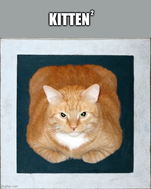 Minecraft lookin aah | 2; KITTEN | image tagged in cat,cute | made w/ Imgflip meme maker