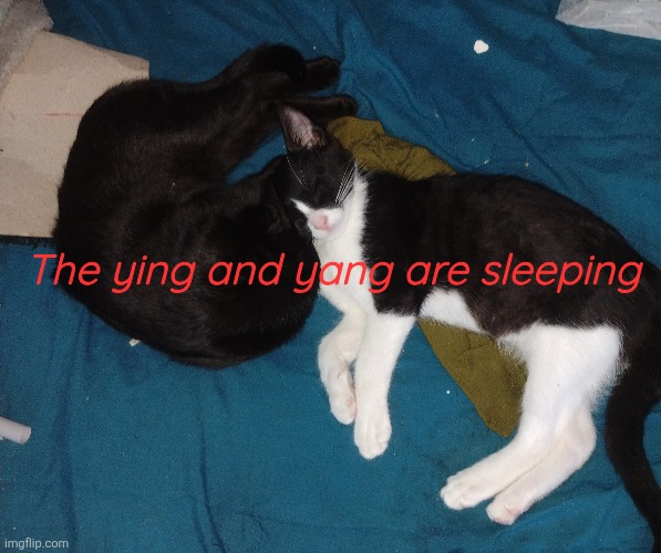 The ying and yang are sleeping | made w/ Imgflip meme maker