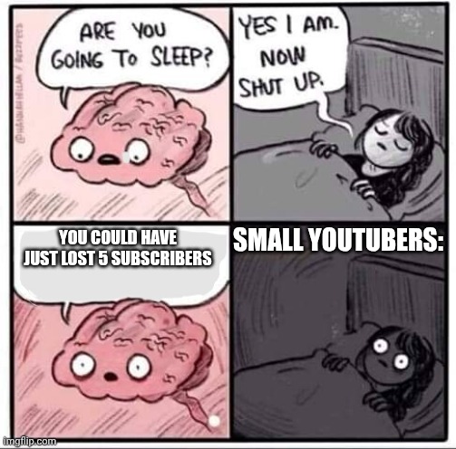 The panic of being a small YouTuber | SMALL YOUTUBERS:; YOU COULD HAVE JUST LOST 5 SUBSCRIBERS | image tagged in are you going to sleep | made w/ Imgflip meme maker