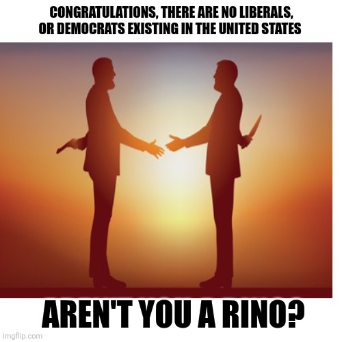 Blank Transparent Square Meme | CONGRATULATIONS, THERE ARE NO LIBERALS, OR DEMOCRATS EXISTING IN THE UNITED STATES AREN'T YOU A RINO? | image tagged in memes,blank transparent square | made w/ Imgflip meme maker