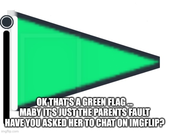 Green Flag | OK THAT'S A GREEN FLAG ... MABY IT'S JUST THE PARENTS FAULT HAVE YOU ASKED HER TO CHAT ON IMGFLIP? | image tagged in green flag | made w/ Imgflip meme maker
