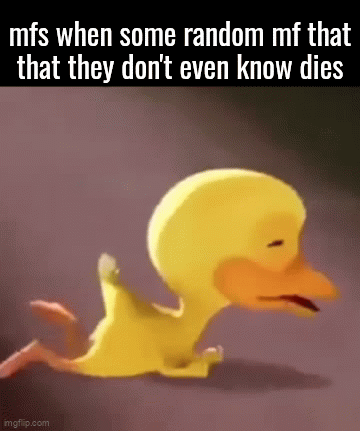 Muft Ration Meme q - Imgflip