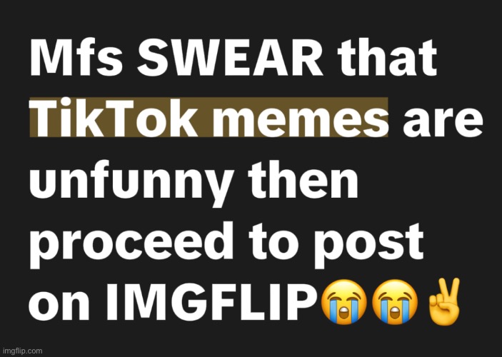 Reddit ass memes Idk how y’all find ts funny | image tagged in tiktok,funny,relatable | made w/ Imgflip meme maker