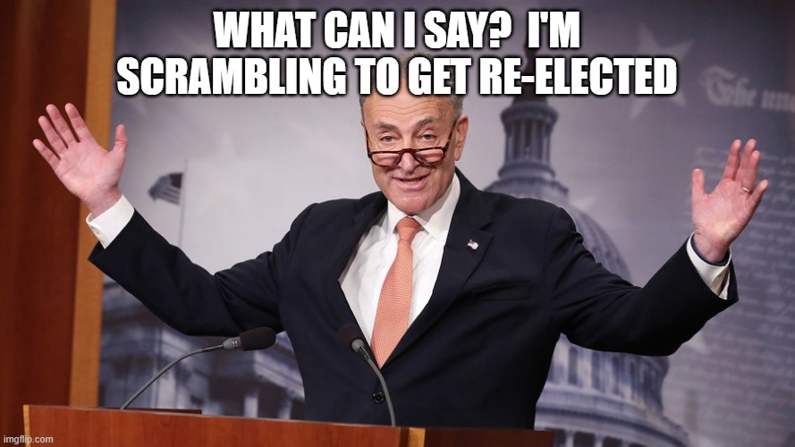 Chuck Schumer | WHAT CAN I SAY?  I'M SCRAMBLING TO GET RE-ELECTED | image tagged in chuck schumer | made w/ Imgflip meme maker