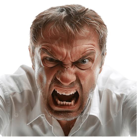 Mad Blank Meme Template