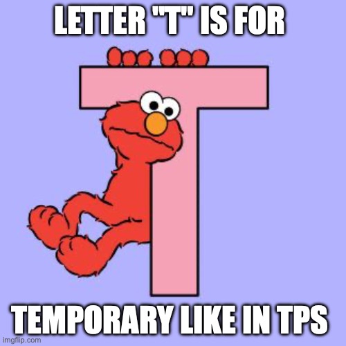 letter T | LETTER "T" IS FOR; TEMPORARY LIKE IN TPS | image tagged in memes | made w/ Imgflip meme maker