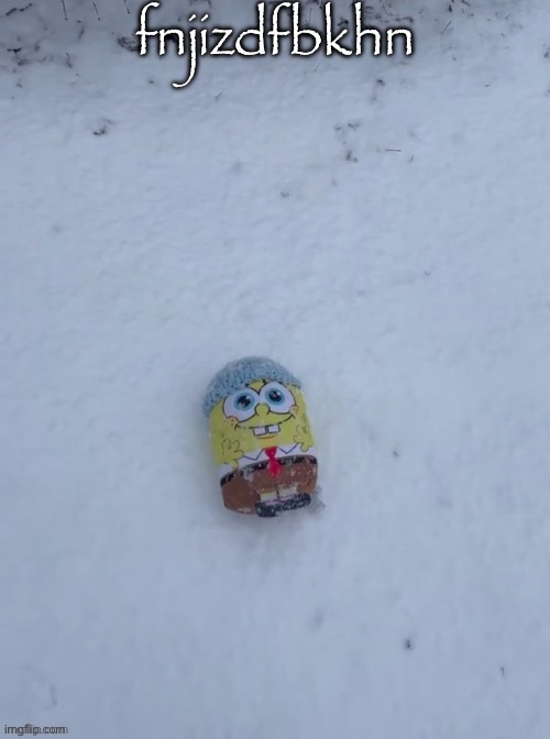 snowbob | fnjizdfbkhn | image tagged in snowbob | made w/ Imgflip meme maker