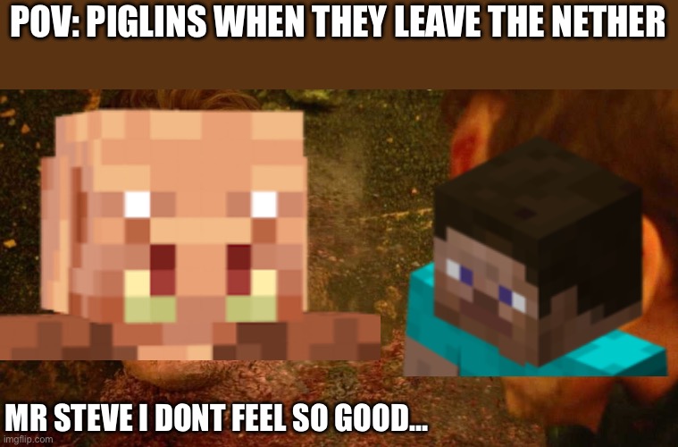 same thing applies to hoglins and brutes | POV: PIGLINS WHEN THEY LEAVE THE NETHER; MR STEVE I DONT FEEL SO GOOD… | image tagged in i dont feel so good | made w/ Imgflip meme maker