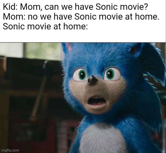 Sonic | Kid: Mom, can we have Sonic movie?
Mom: no we have Sonic movie at home.
Sonic movie at home: | image tagged in funny memes,sonic movie | made w/ Imgflip meme maker