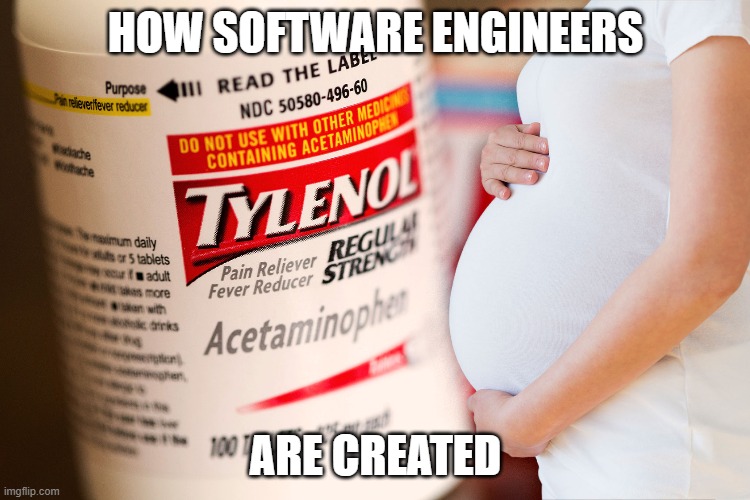 Tylenol and pregnancy go together like magic and gathering | HOW SOFTWARE ENGINEERS; ARE CREATED | image tagged in autism,magic,secret | made w/ Imgflip meme maker