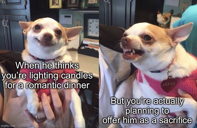 Romantic Dinner | When he thinks you’re lighting candles for a romantic dinner; But you’re actually planning to offer him as a sacrifice | image tagged in smiling dog angry dog,dinner,candles,sacrifice | made w/ Imgflip meme maker