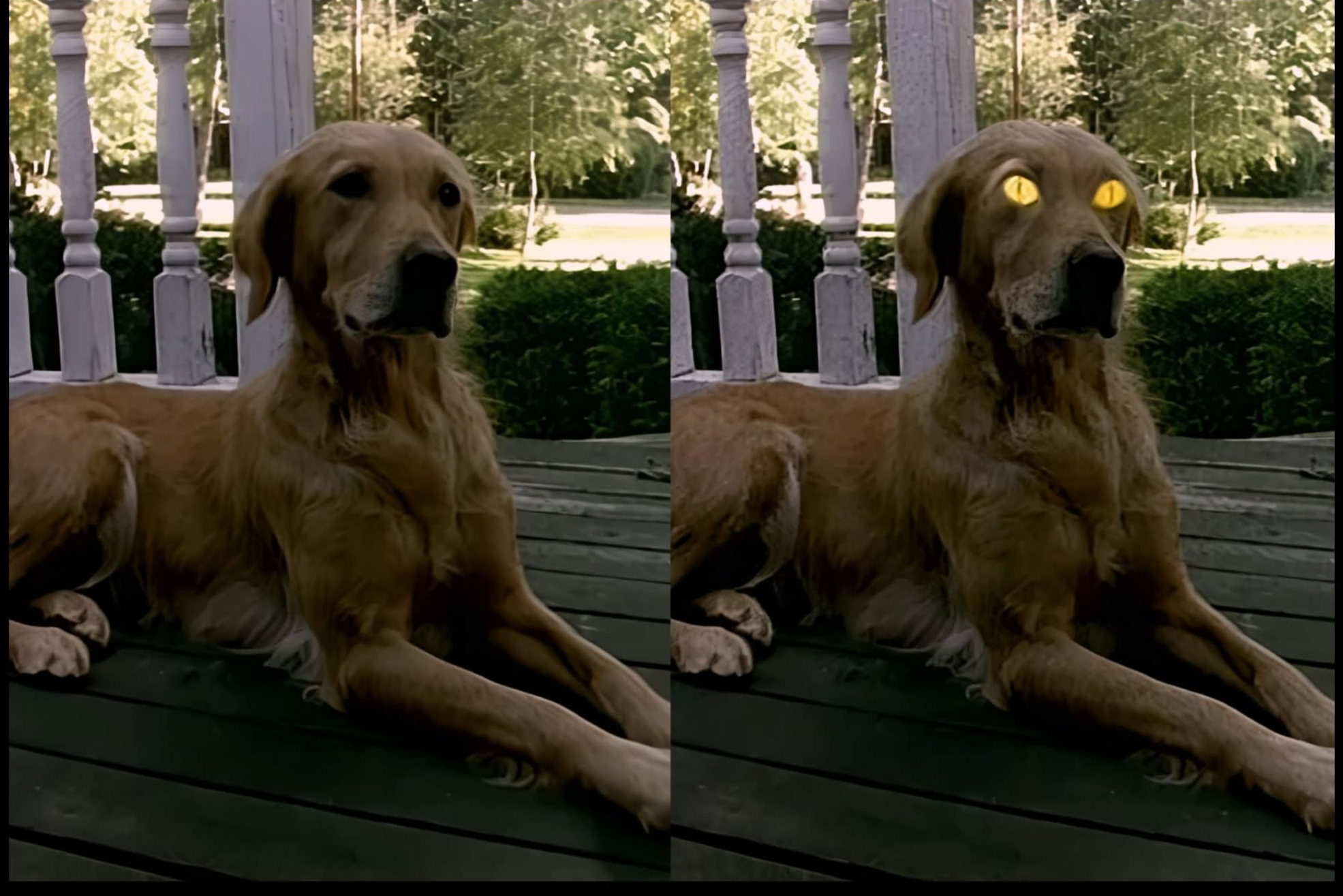 When Spooky Season Hits Blank Meme Template