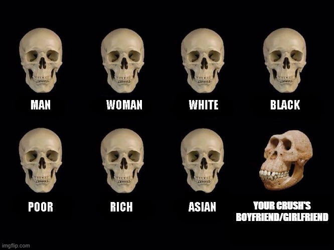 empty skulls of truth | YOUR CRUSH'S BOYFRIEND/GIRLFRIEND | image tagged in empty skulls of truth | made w/ Imgflip meme maker