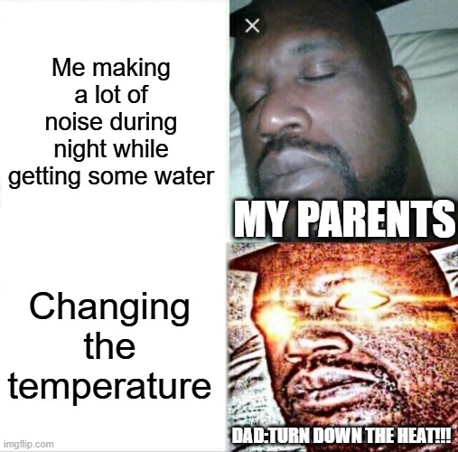 How it be like sneaking at night | Me making a lot of noise during night while getting some water; MY PARENTS; Changing the temperature; DAD:TURN DOWN THE HEAT!!! | image tagged in memes,sleeping shaq | made w/ Imgflip meme maker