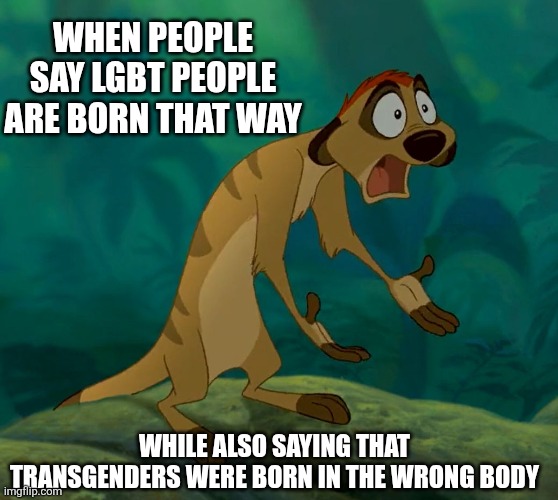 Can't have it both ways, guys | WHEN PEOPLE SAY LGBT PEOPLE ARE BORN THAT WAY; WHILE ALSO SAYING THAT TRANSGENDERS WERE BORN IN THE WRONG BODY | image tagged in baffled timon,transgender,lgbtq,lgbt,woke | made w/ Imgflip meme maker