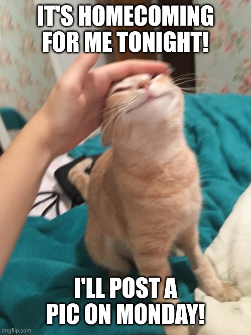 YAYAYAYAYAYA | IT'S HOMECOMING FOR ME TONIGHT! I'LL POST A PIC ON MONDAY! | image tagged in cat pat | made w/ Imgflip meme maker
