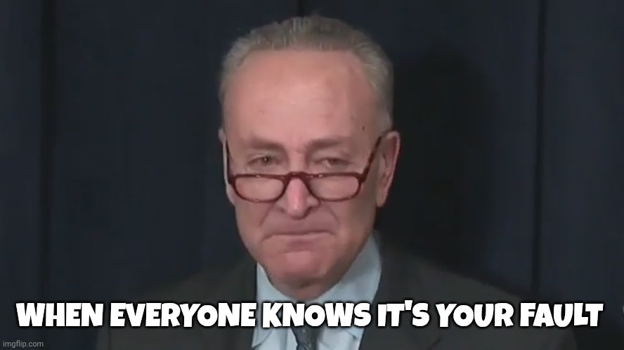 Chuck Schumer Crying | WHEN EVERYONE KNOWS IT'S YOUR FAULT | image tagged in chuck schumer crying | made w/ Imgflip meme maker