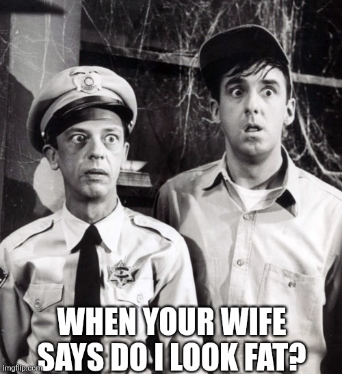 When Your Wife Says Do I Look Fat? | WHEN YOUR WIFE SAYS DO I LOOK FAT? | image tagged in chrisjoines1 | made w/ Imgflip meme maker