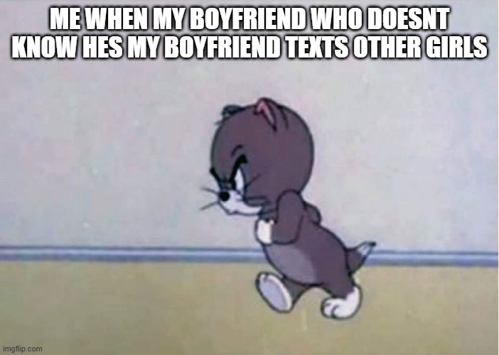 lil meme i made when i was bored ;) | ME WHEN MY BOYFRIEND WHO DOESNT KNOW HES MY BOYFRIEND TEXTS OTHER GIRLS | image tagged in little angry tom,cat,funny,lol,memes,funny animals | made w/ Imgflip meme maker