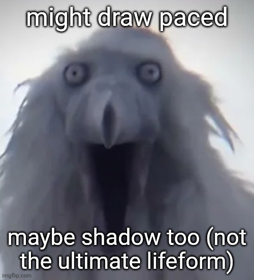 plud | might draw paced; maybe shadow too (not the ultimate lifeform) | image tagged in calm luh fit bird scream | made w/ Imgflip meme maker