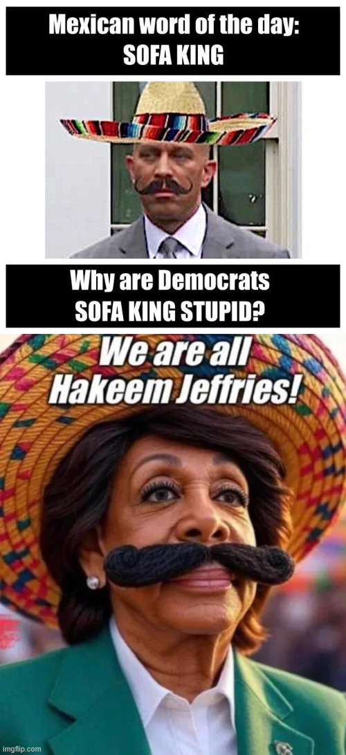 Yes they are... | image tagged in democrats,sofa king stupid | made w/ Imgflip meme maker