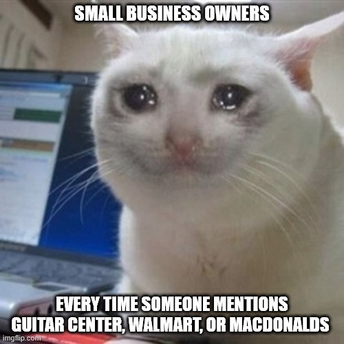 Crying cat | SMALL BUSINESS OWNERS; EVERY TIME SOMEONE MENTIONS GUITAR CENTER, WALMART, OR MACDONALDS | image tagged in crying cat | made w/ Imgflip meme maker