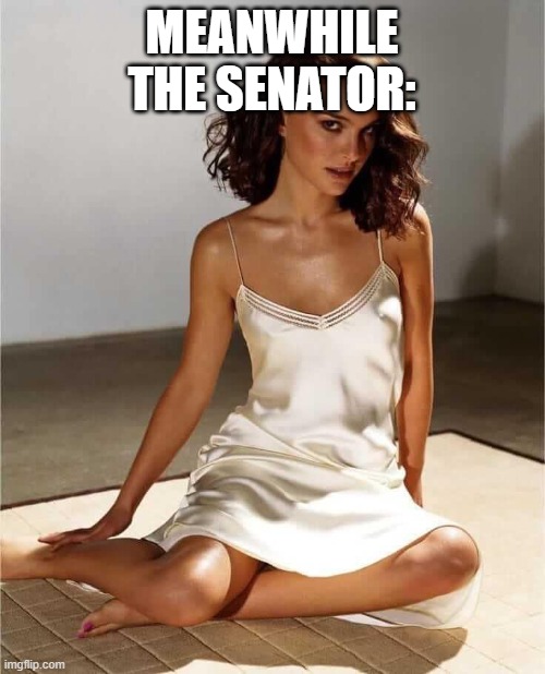 Natalie Portman | MEANWHILE THE SENATOR: | image tagged in natalie portman | made w/ Imgflip meme maker